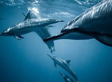 开云体育下载-白昊天社媒分享康复片段并配文：耐心是生活的关键