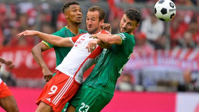 1693217322306072019.jpeg 1693217322306072019.jpeg